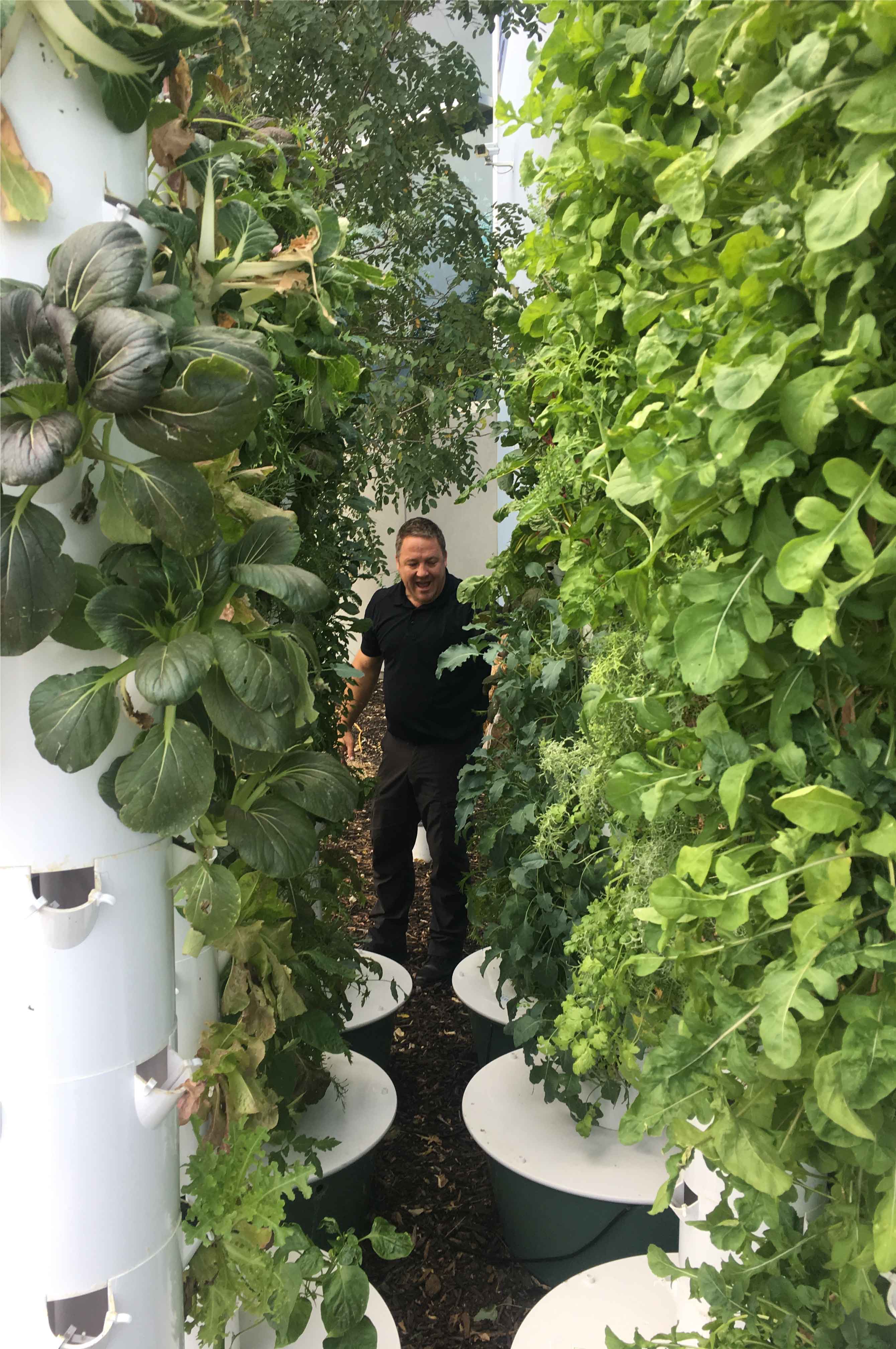 grow-towers
